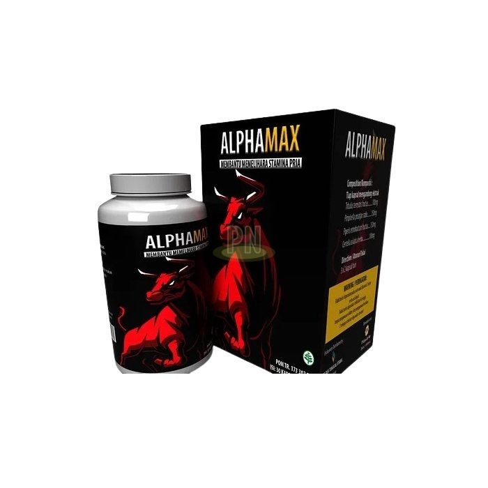 AlphaMax ◾ ஆற்றலுக்கான தீர்வு ◾ பாட்னாவில்