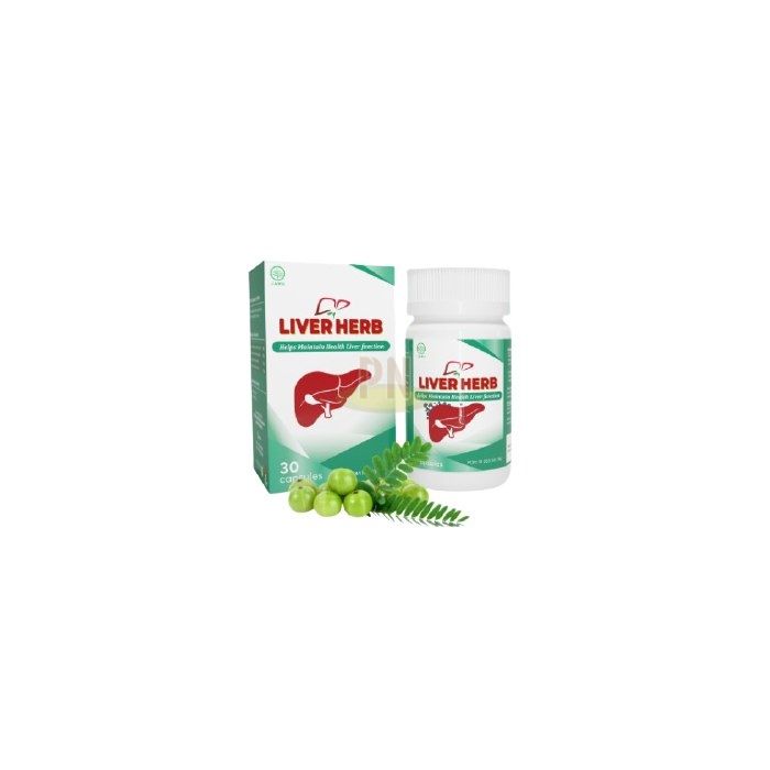 Liver Herb ◾ capsules for liver diseases ◾ in Pekalongan