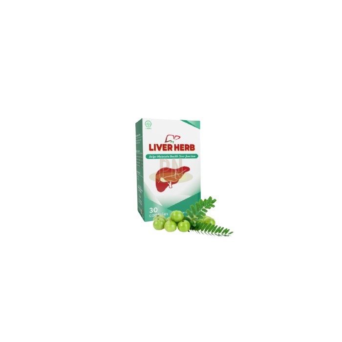 Liver Herb ◾ kapsul untuk penyakit liver ◾ di Chiteureup