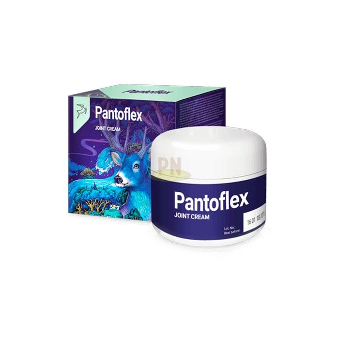 Pantoflex ◾ संयुक्त मलई ◾ रतलाम मध्ये